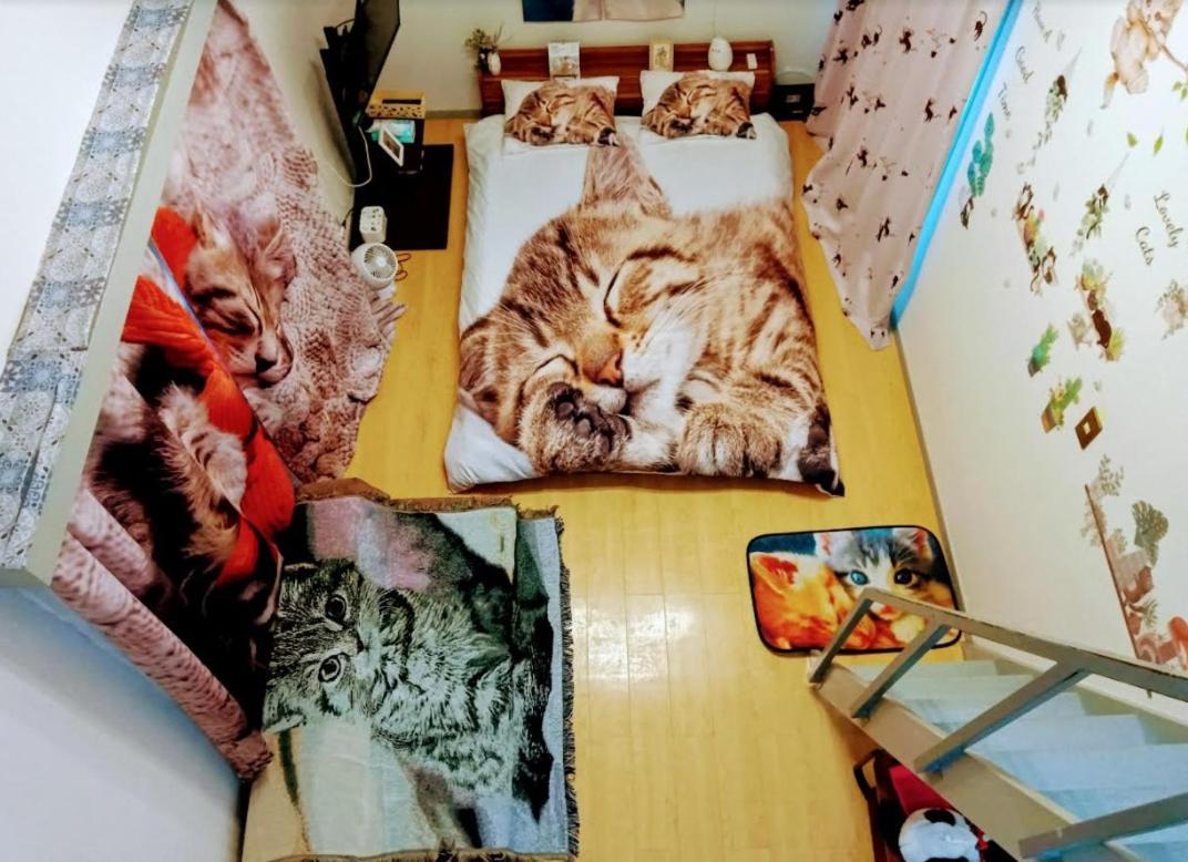 Apartamento Tokyo Shibuya Shinjyuku Cat House ! Exterior foto