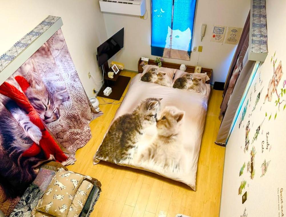 Apartamento Tokyo Shibuya Shinjyuku Cat House ! Exterior foto